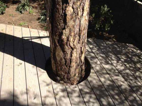 Des professionnels de l’aménagement extérieur en bois à Paris