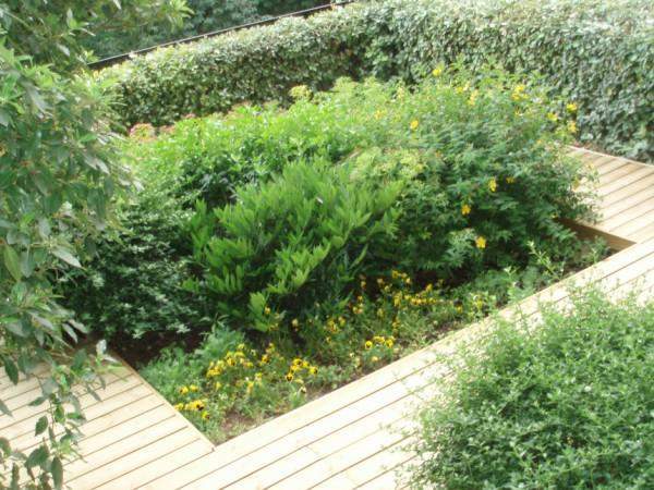 Aménagement extérieur en bois Paris